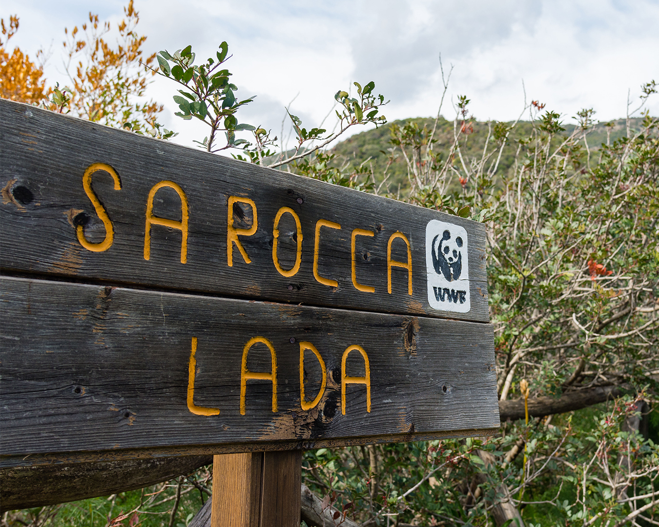 Sa Rocca Lada LON6136