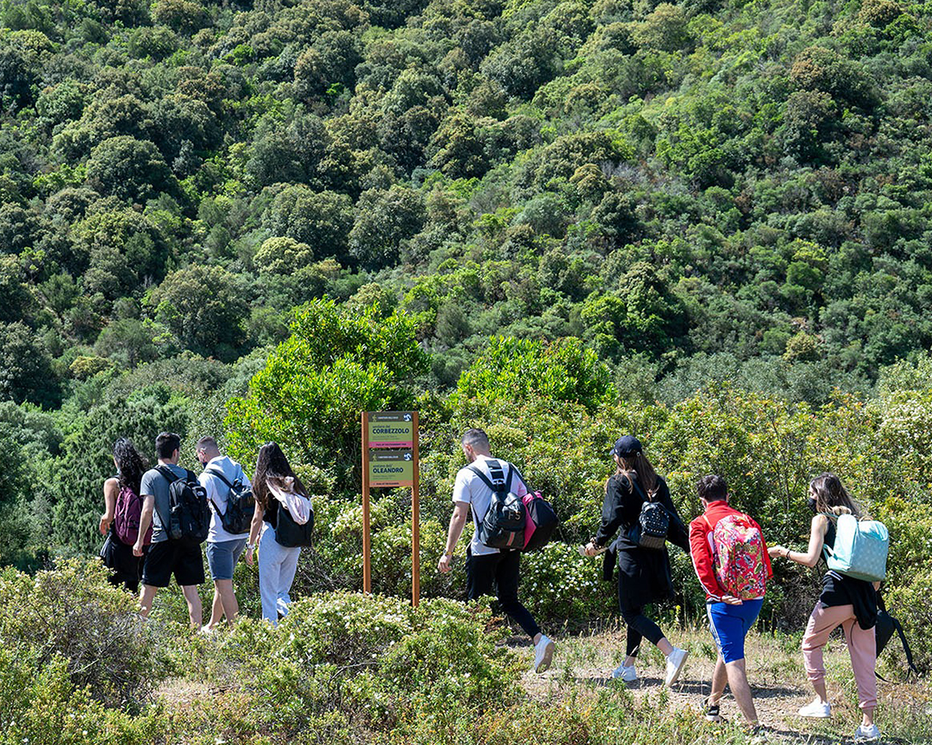 Visitatori Oasi 12