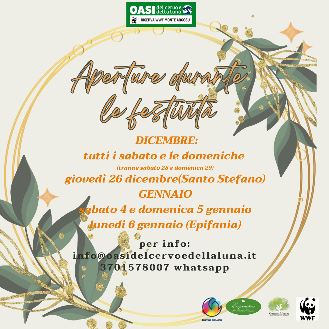 Aperture durante le festività (1)
