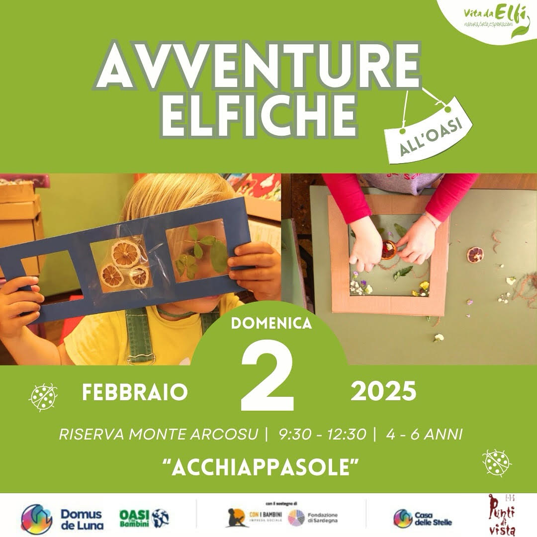 acchiappasole