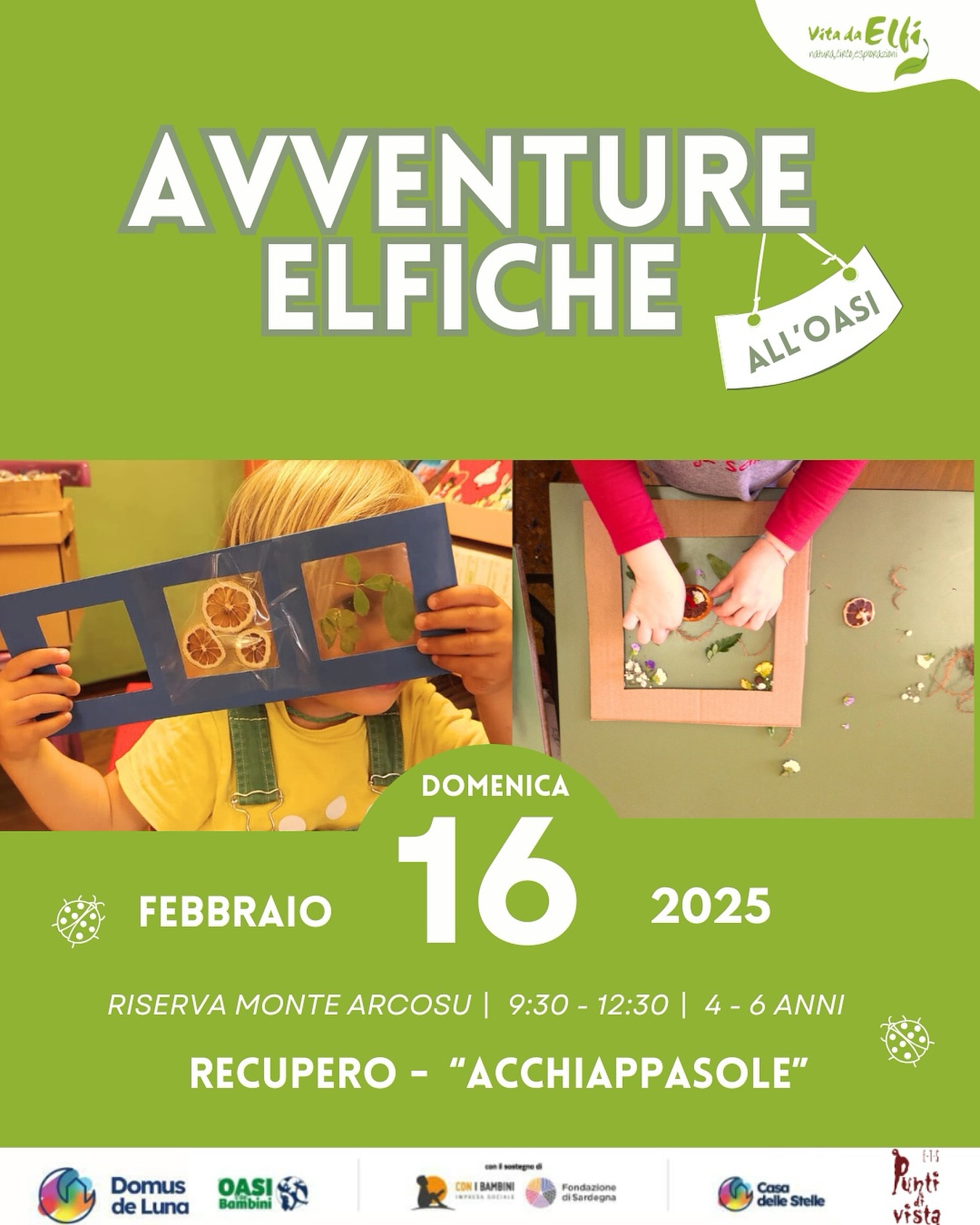 Avventure elfiche 16 febbraio