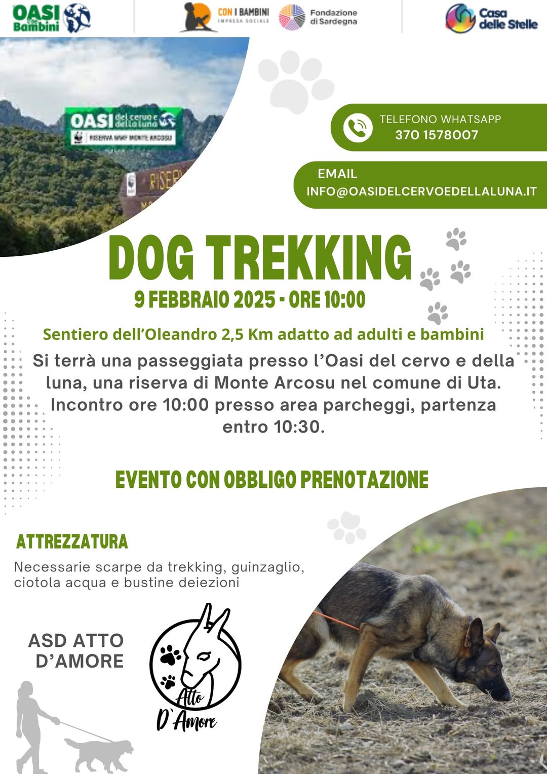 Dog trekking Atto d'amore