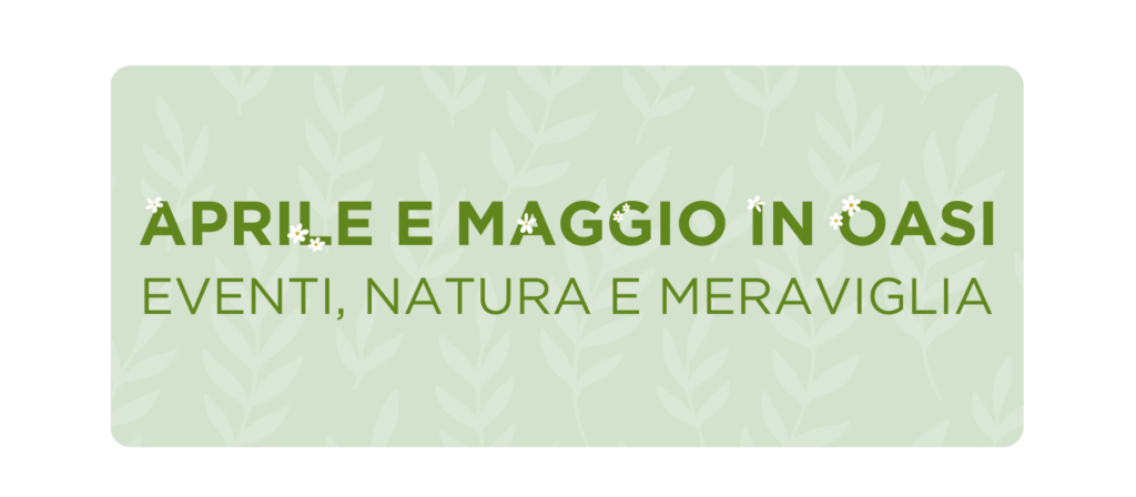 Aprile e maggio senza sfondo