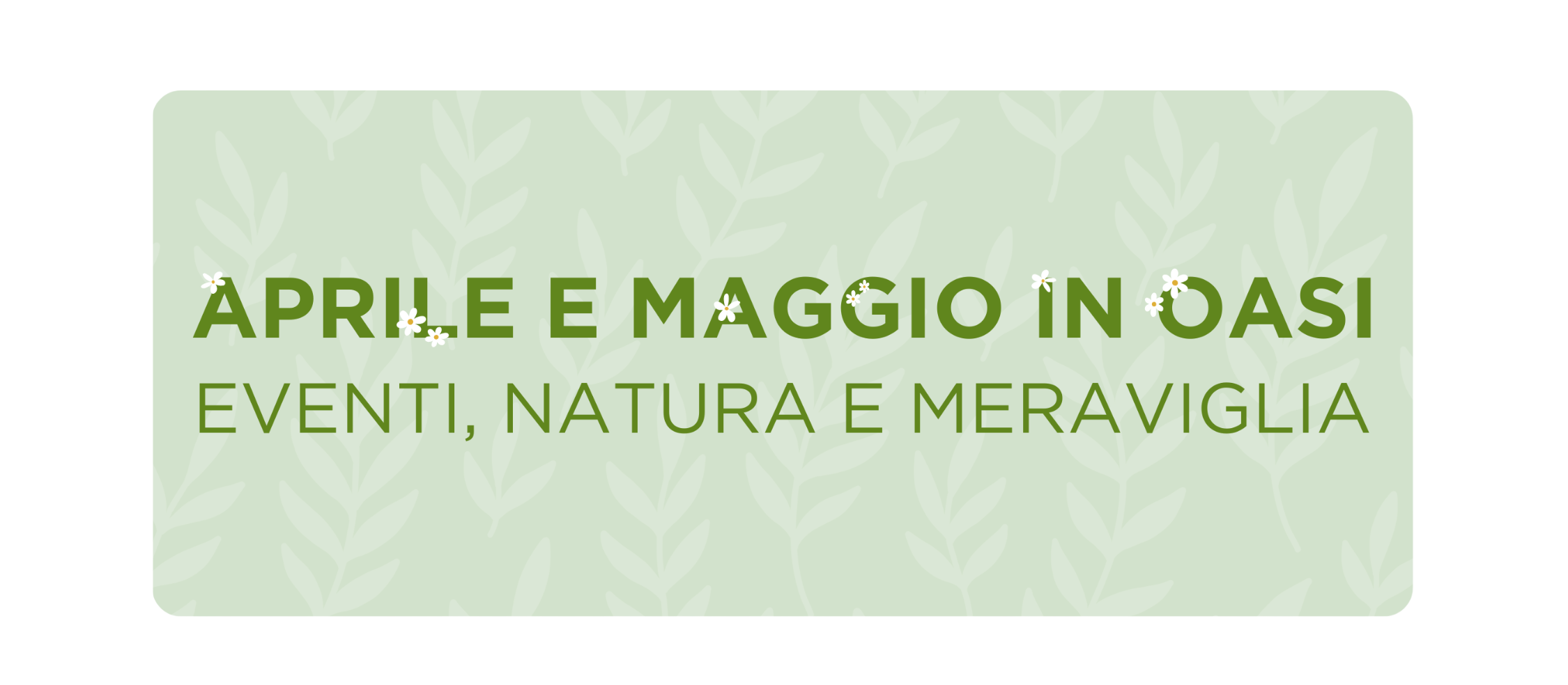 Aprile e maggio senza sfondo
