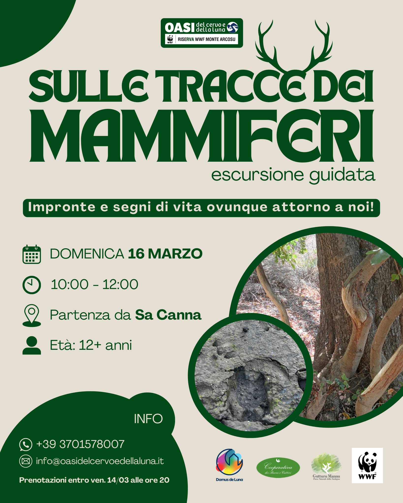 Sulle tracce dei mammiferi 16 marzo