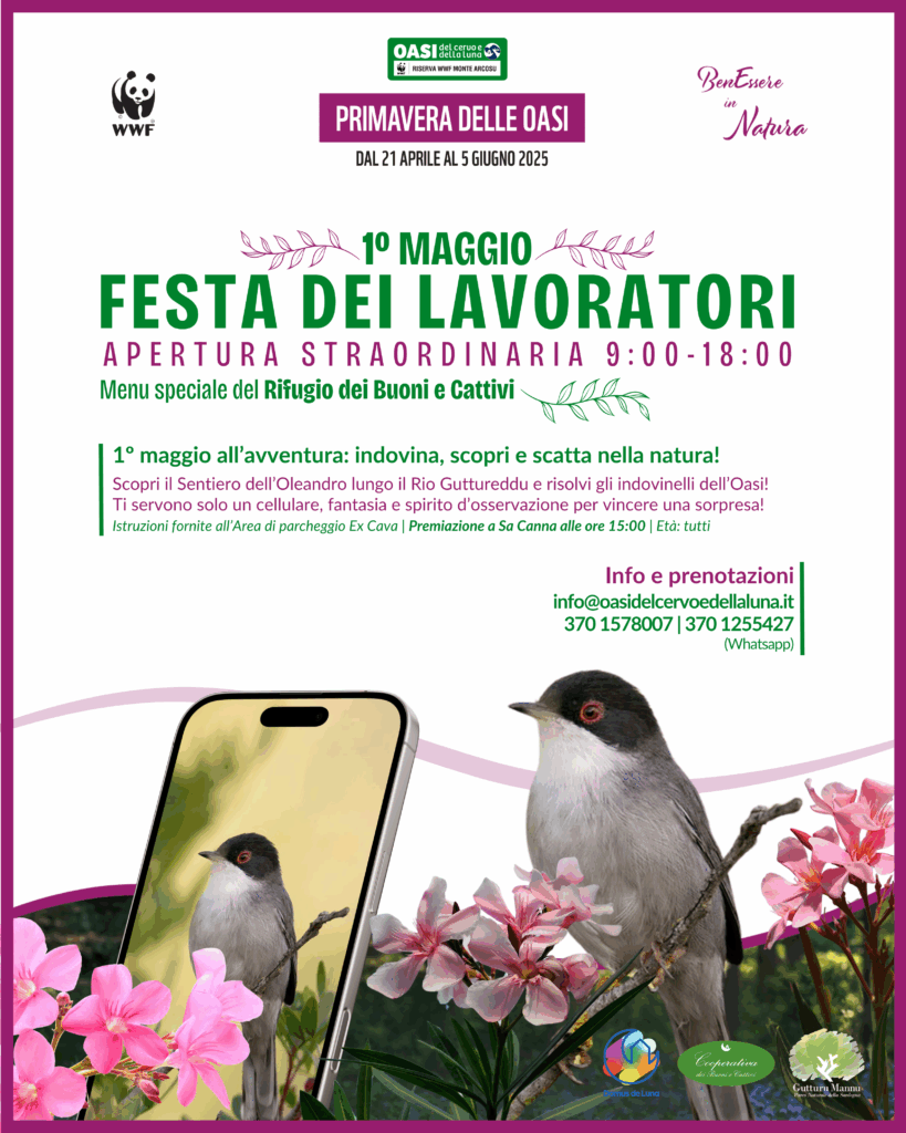 1 maggio in Oasi
