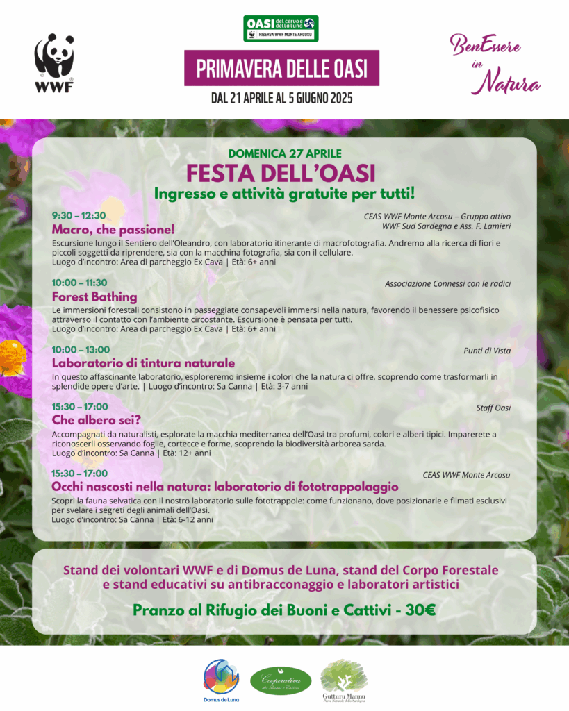 Festa dell'Oasi