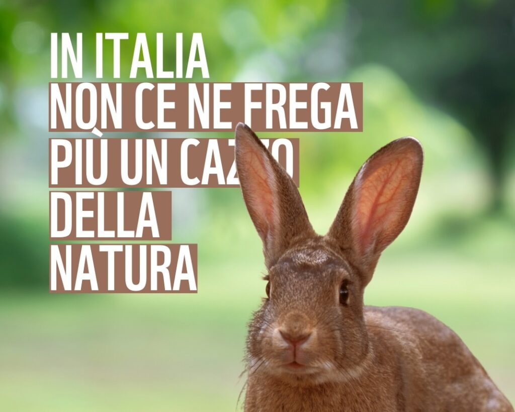 Denuncia WWF