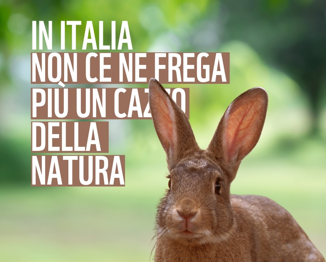 Denuncia WWF