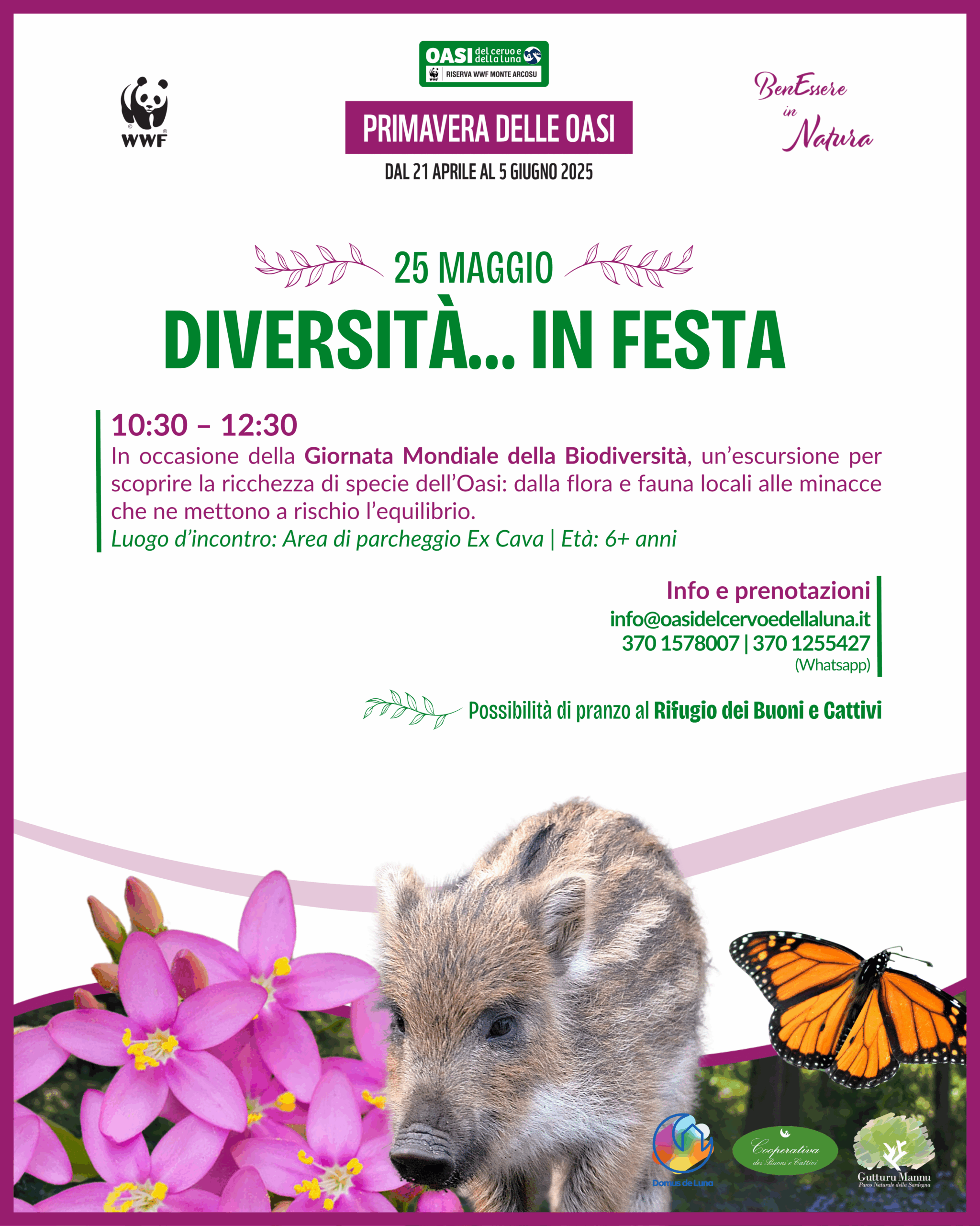 Diversità... in festa 25 maggio