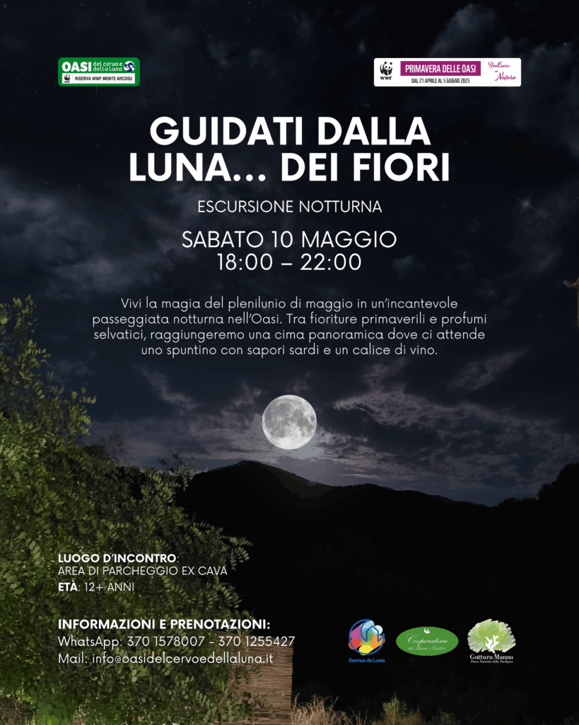 Escursione notturna 10 maggio