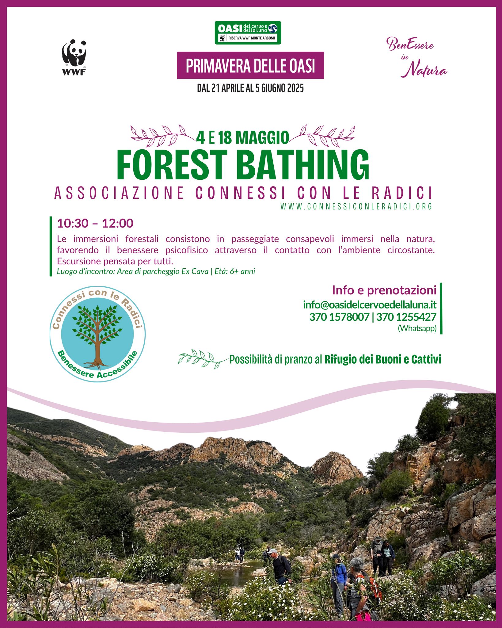 Forest bathing