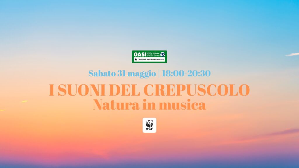 I suoni del crepuscolo