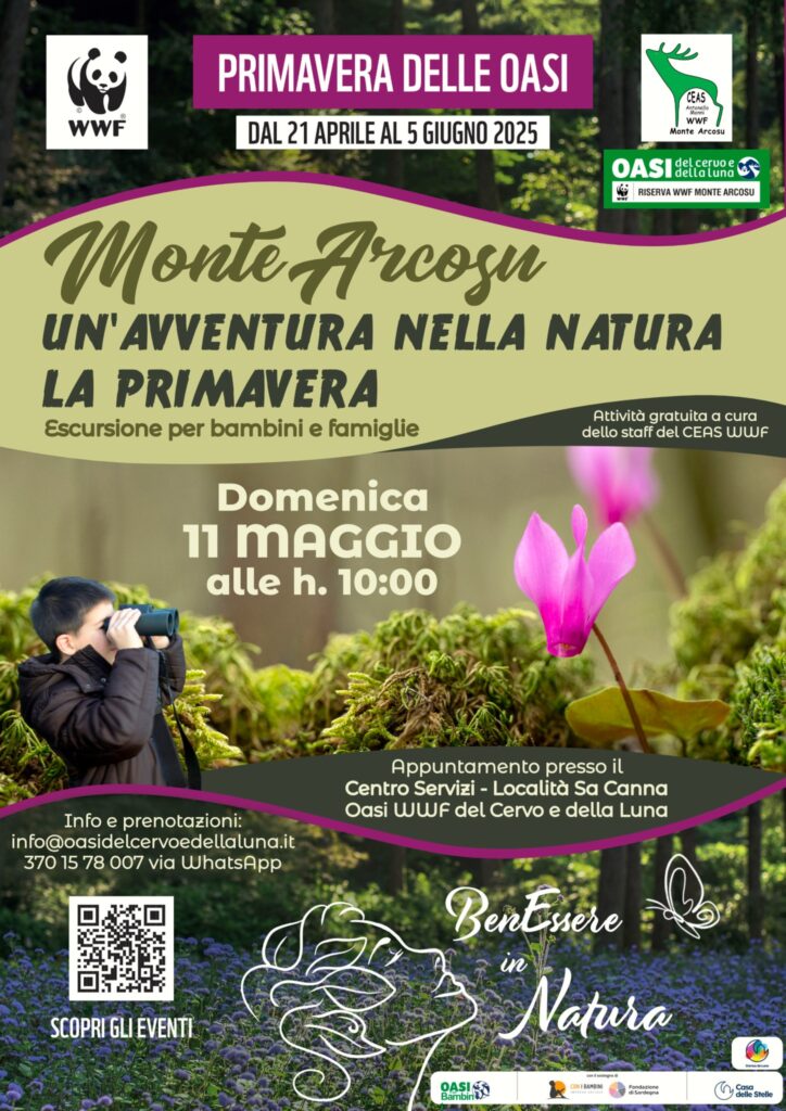 Un'avventura nella natura Primavera