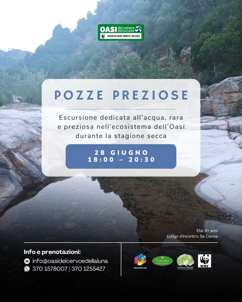 Pozze preziose