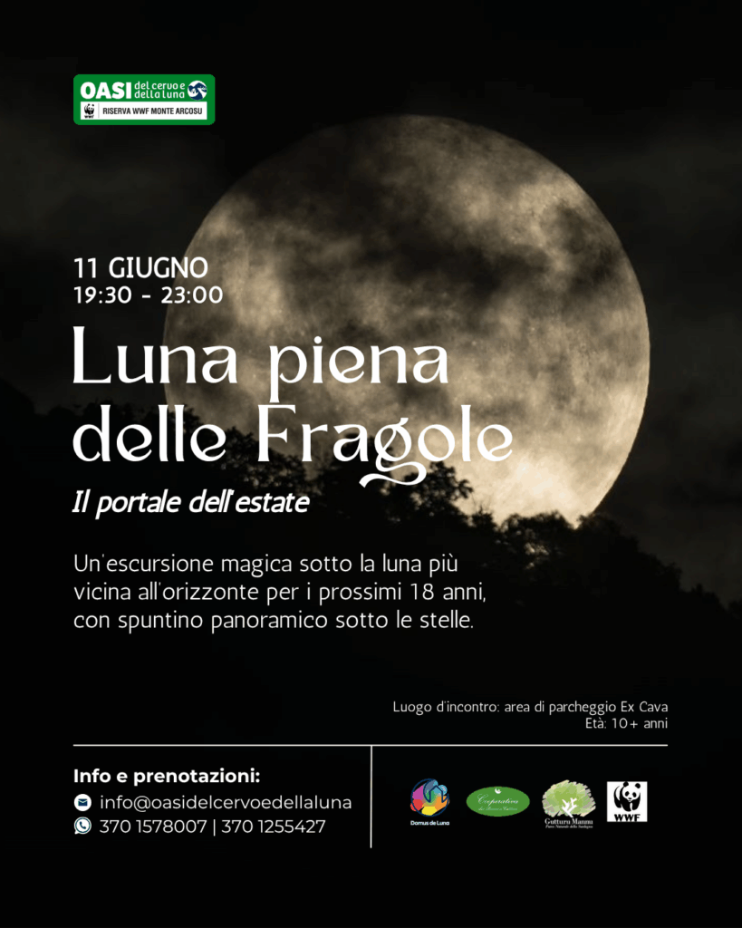 Evento 11 giugno