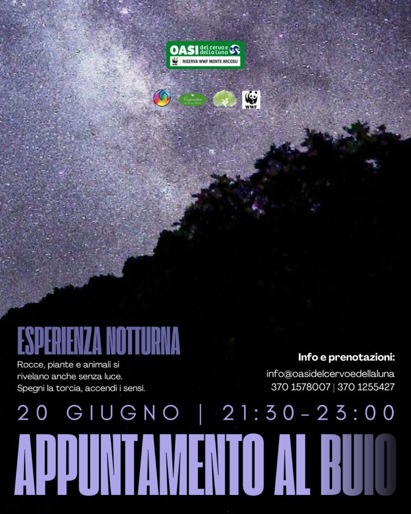 Appuntamento al buio