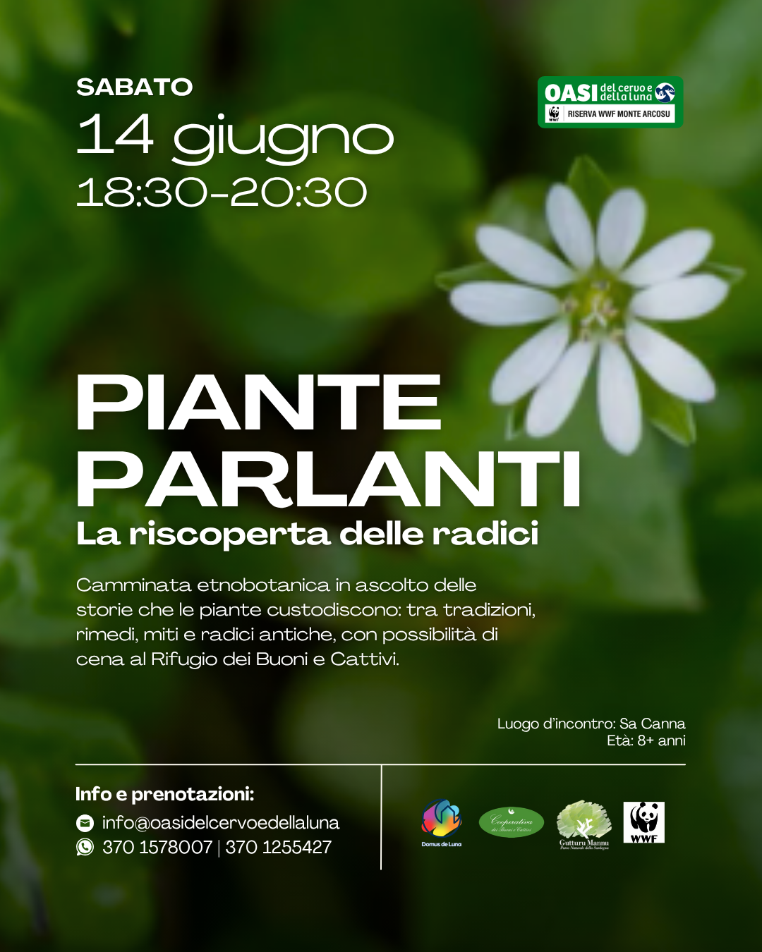 Evento 14 giugno