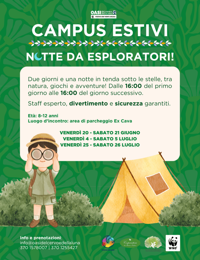 Tutti i campus estivi