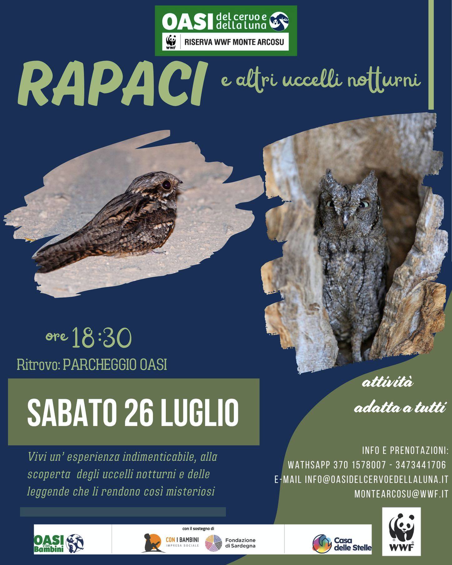 26 luglio