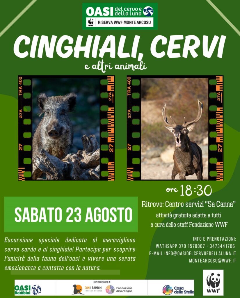 23 agosto 18 30