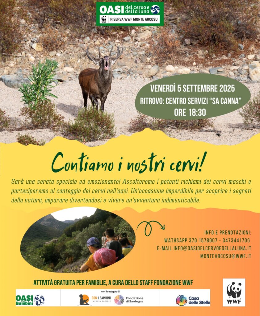 5 settembre Mini censimento per bambini