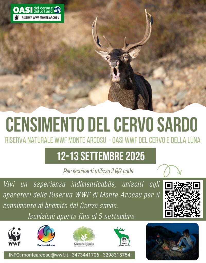 Censimento del Cervo sardo corso