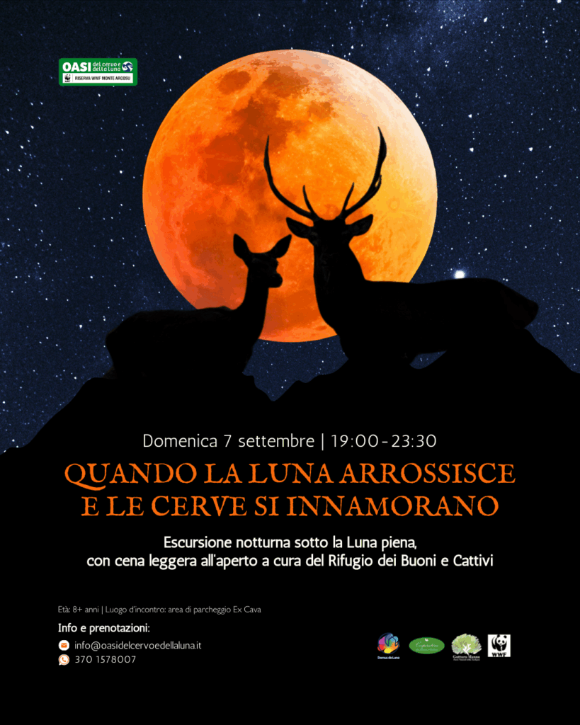 Evento 7 settembre