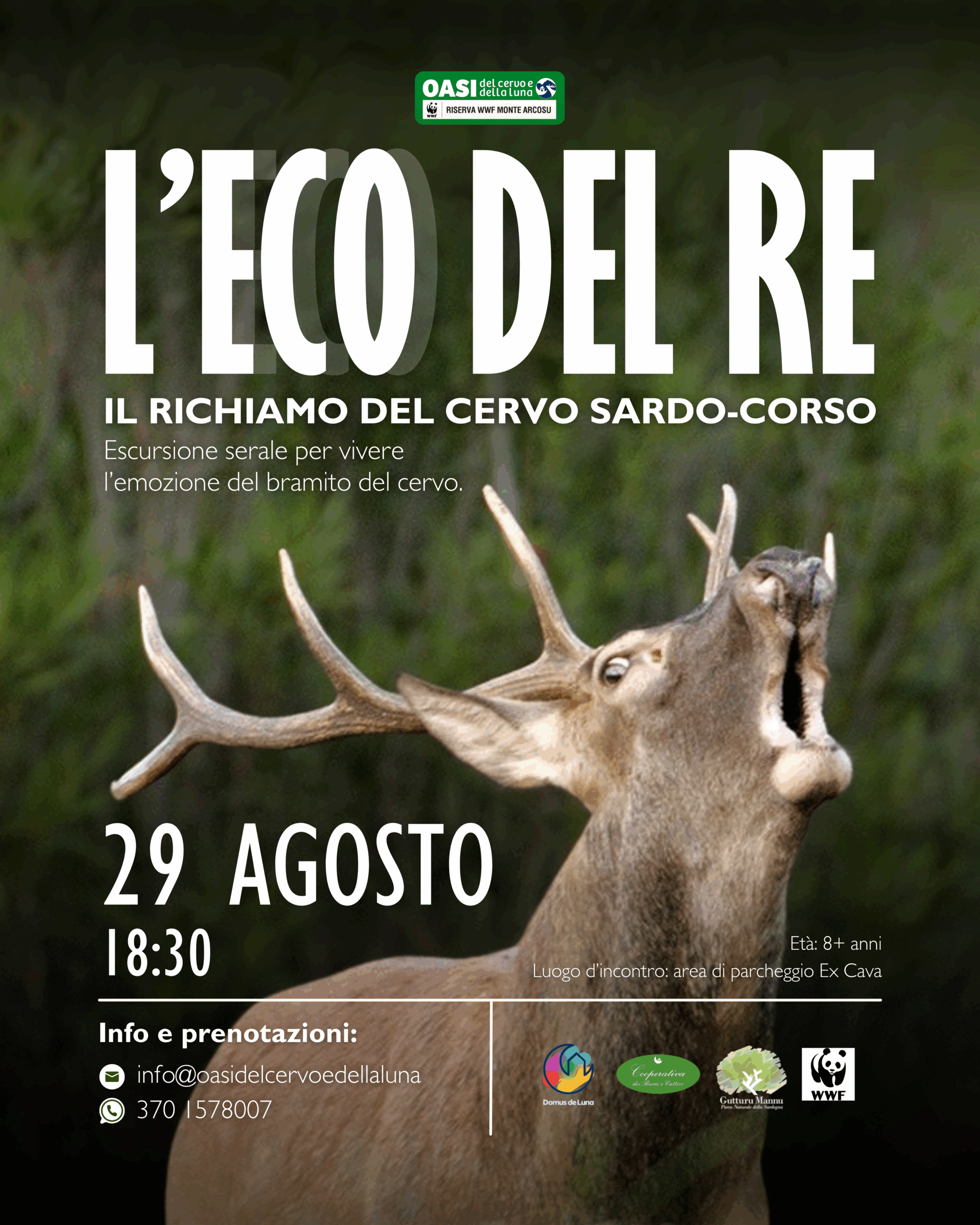 L'Eco del Re