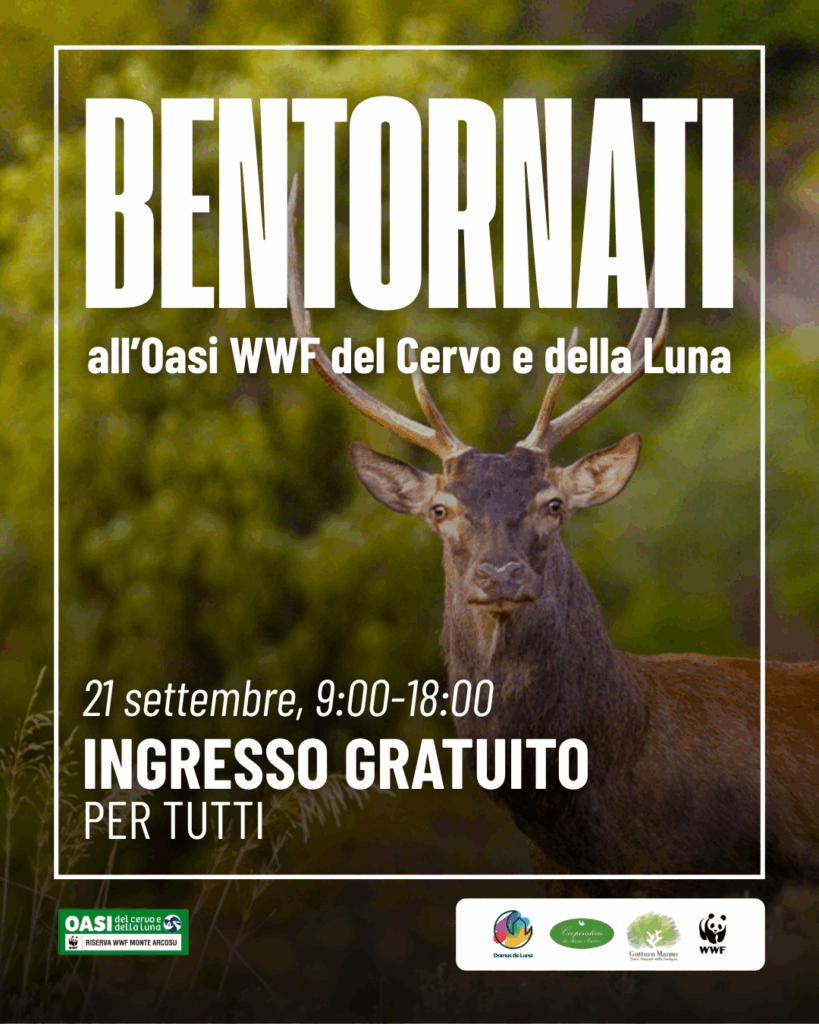 Riapertura 21 settembre