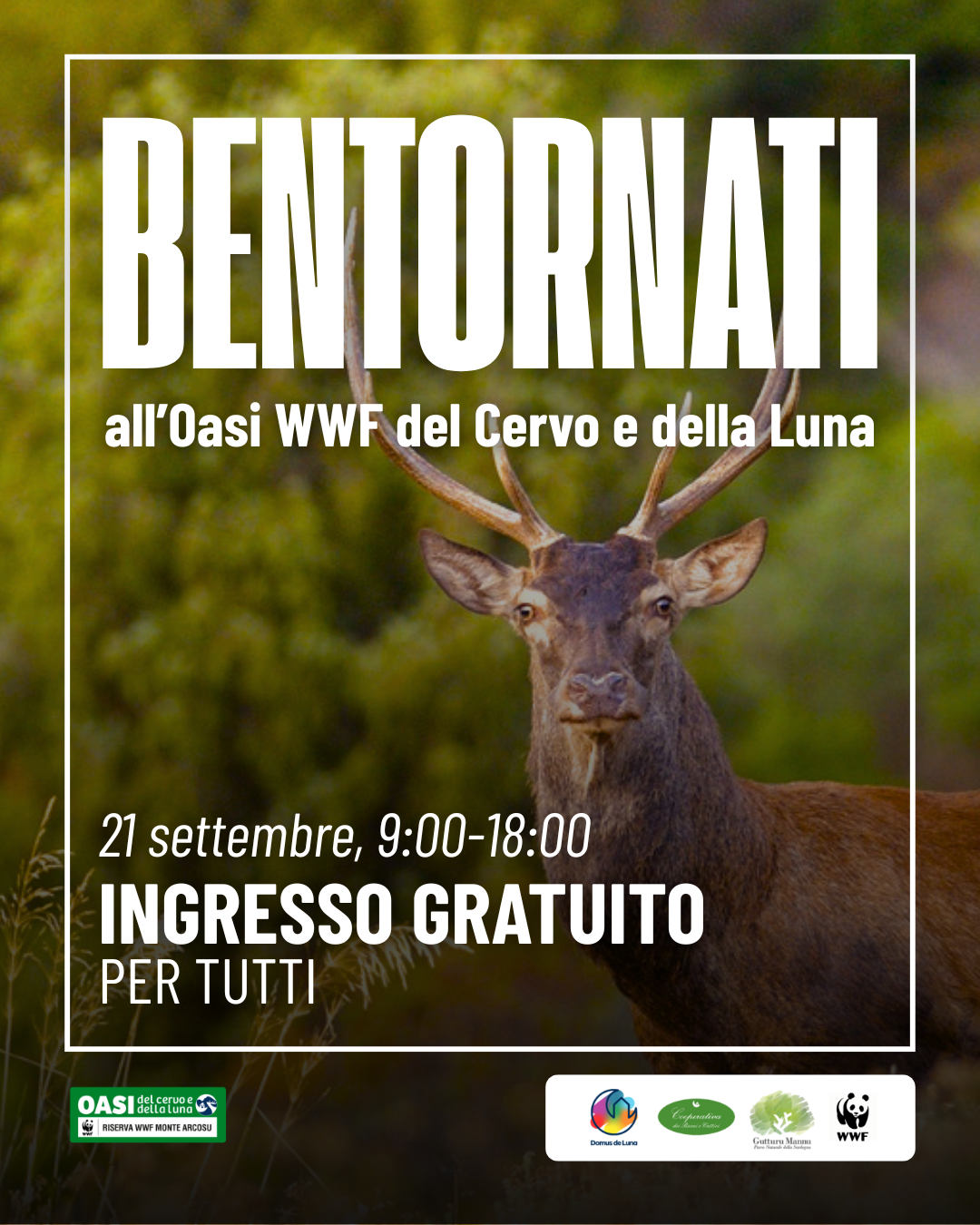 Riapertura 21 settembre
