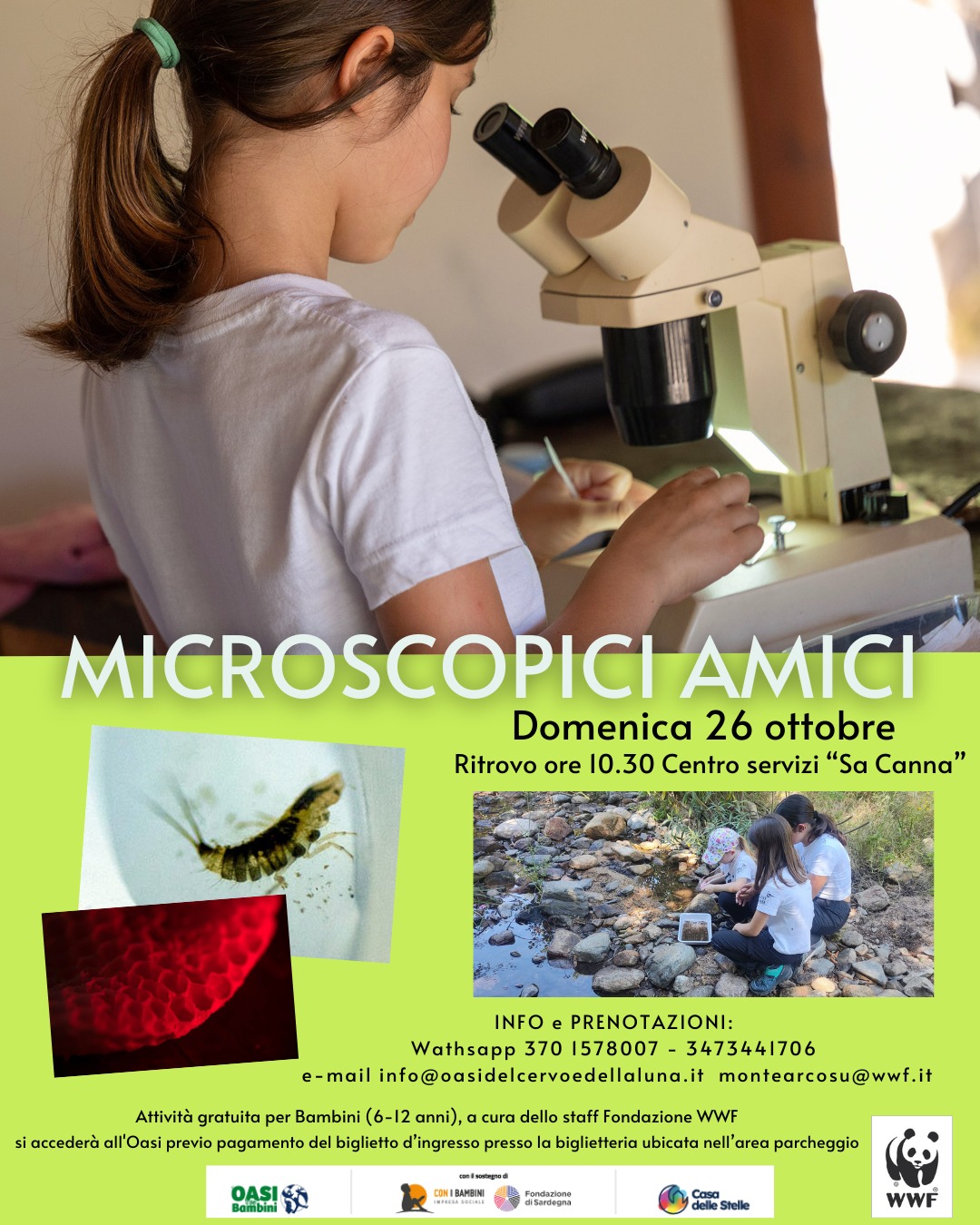 561532844 1115784850750311 4352193598987724747 n