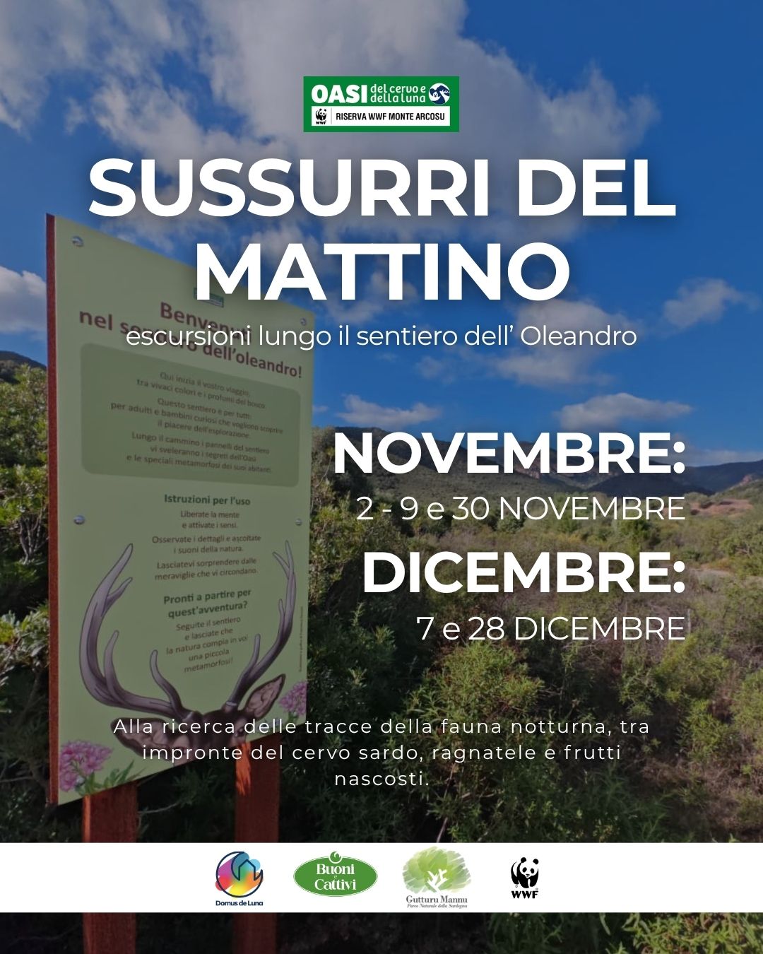 Escursione Sentiero Oleandro 30 Ottobre (2)