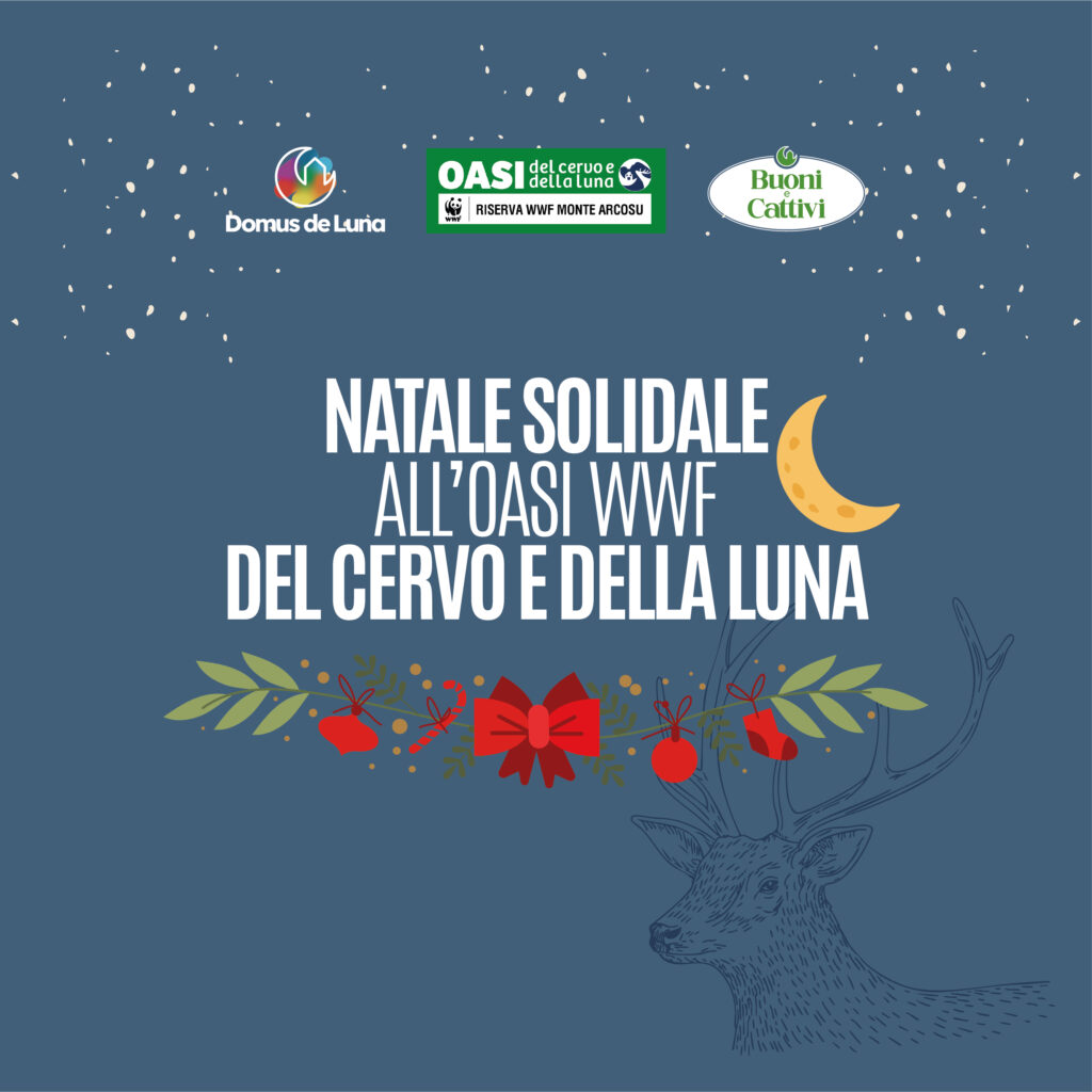 Natale all'oasi
