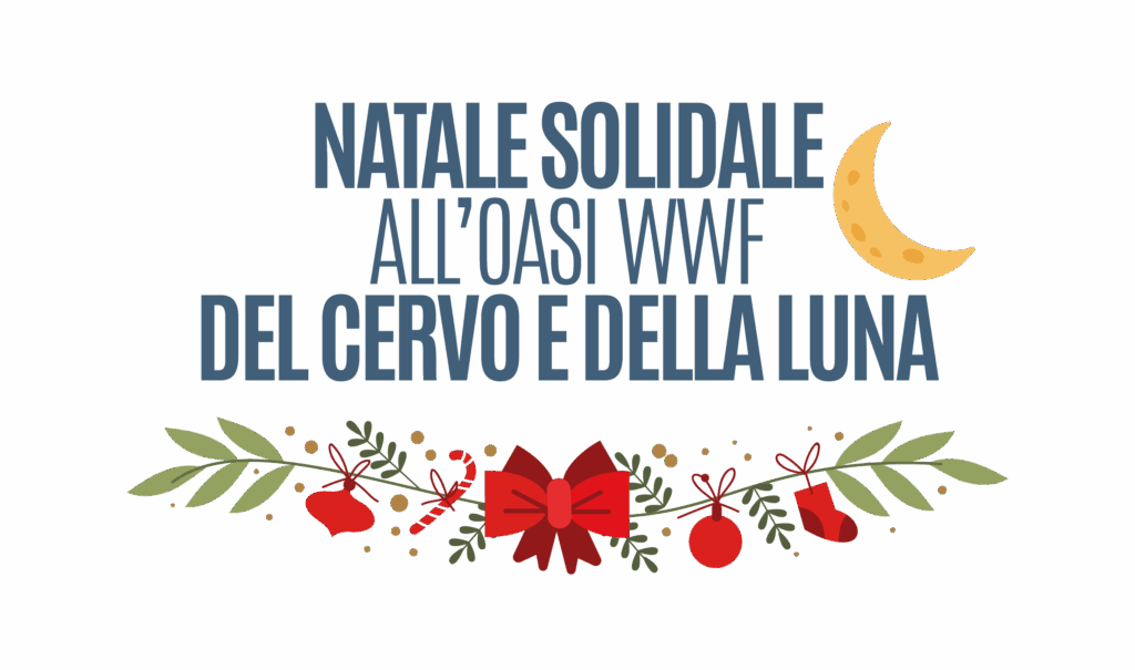 Natale all'oasi