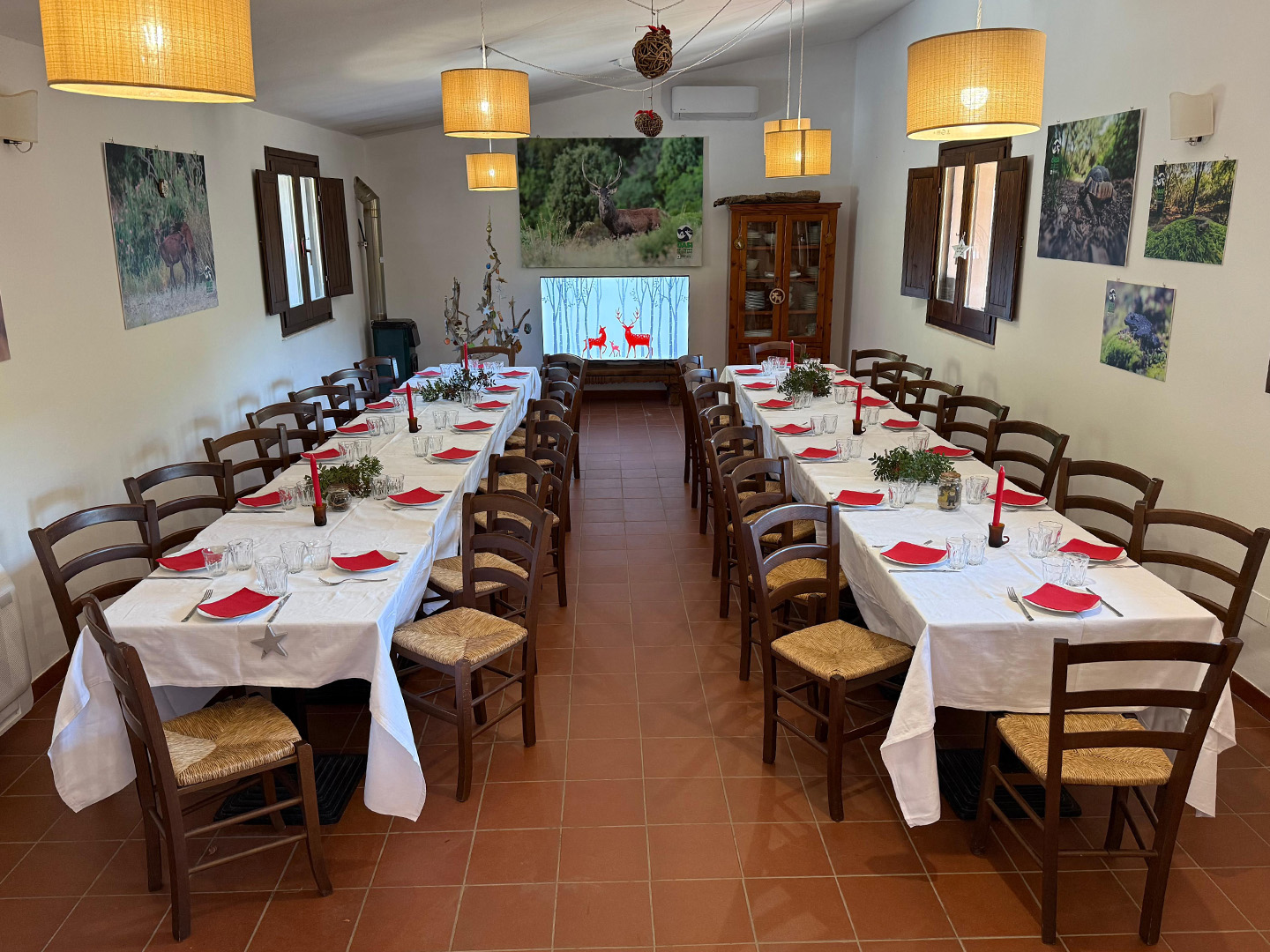 WhatsApp Image 2025 10 03 at 12.04.08