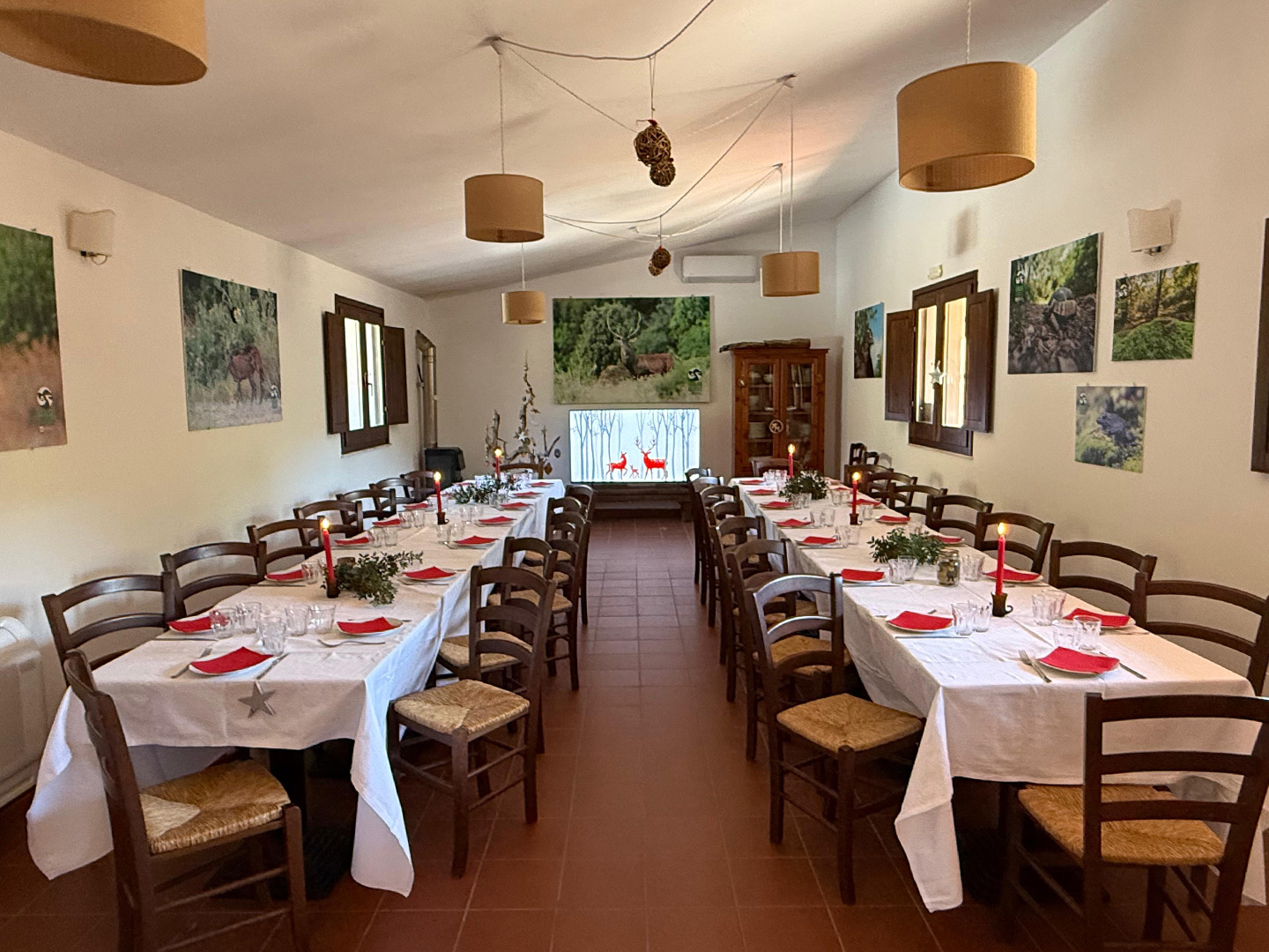 WhatsApp Image 2025 10 03 at 12.10.03