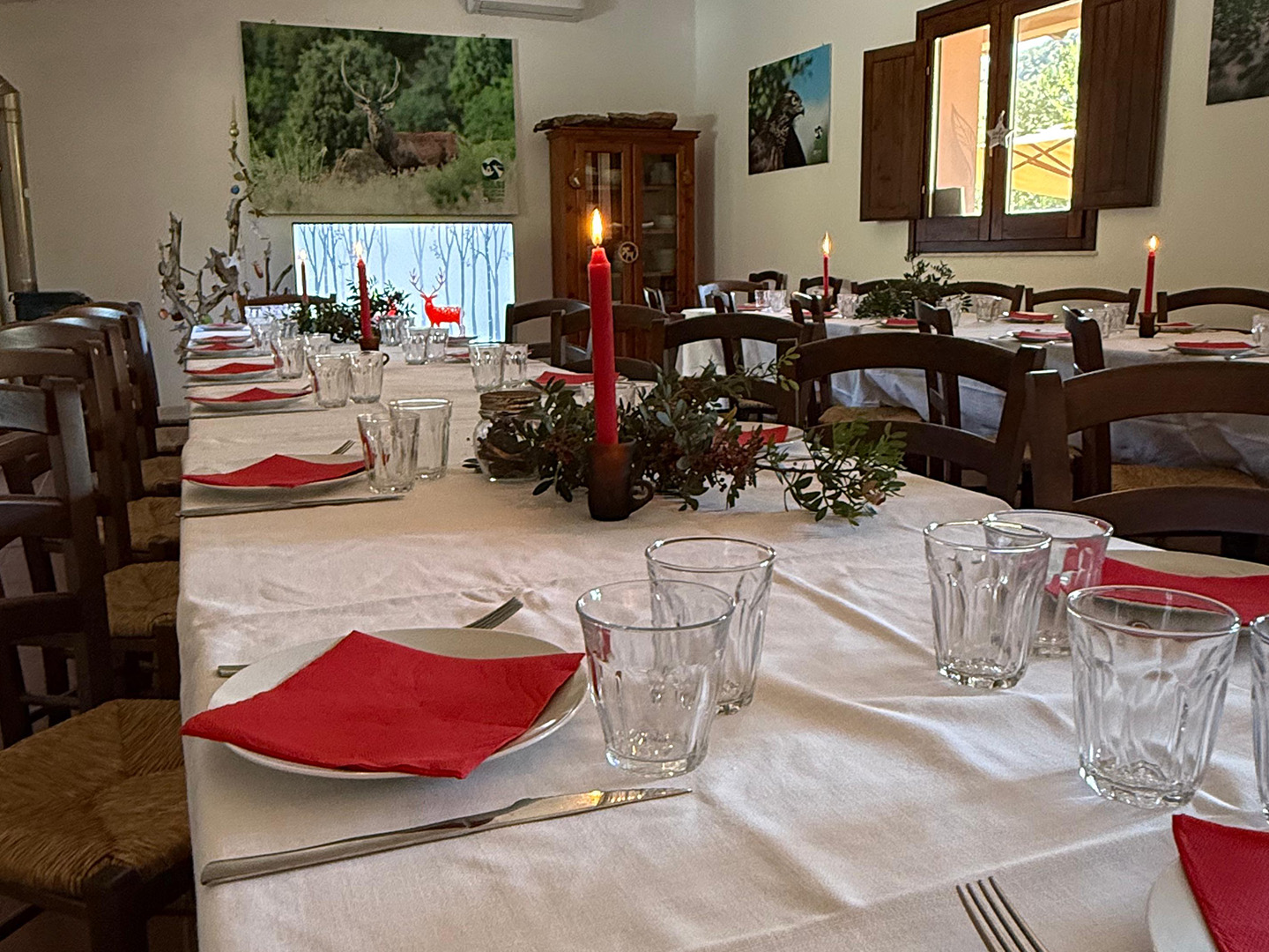 WhatsApp Image 2025 10 03 at 12.23.02