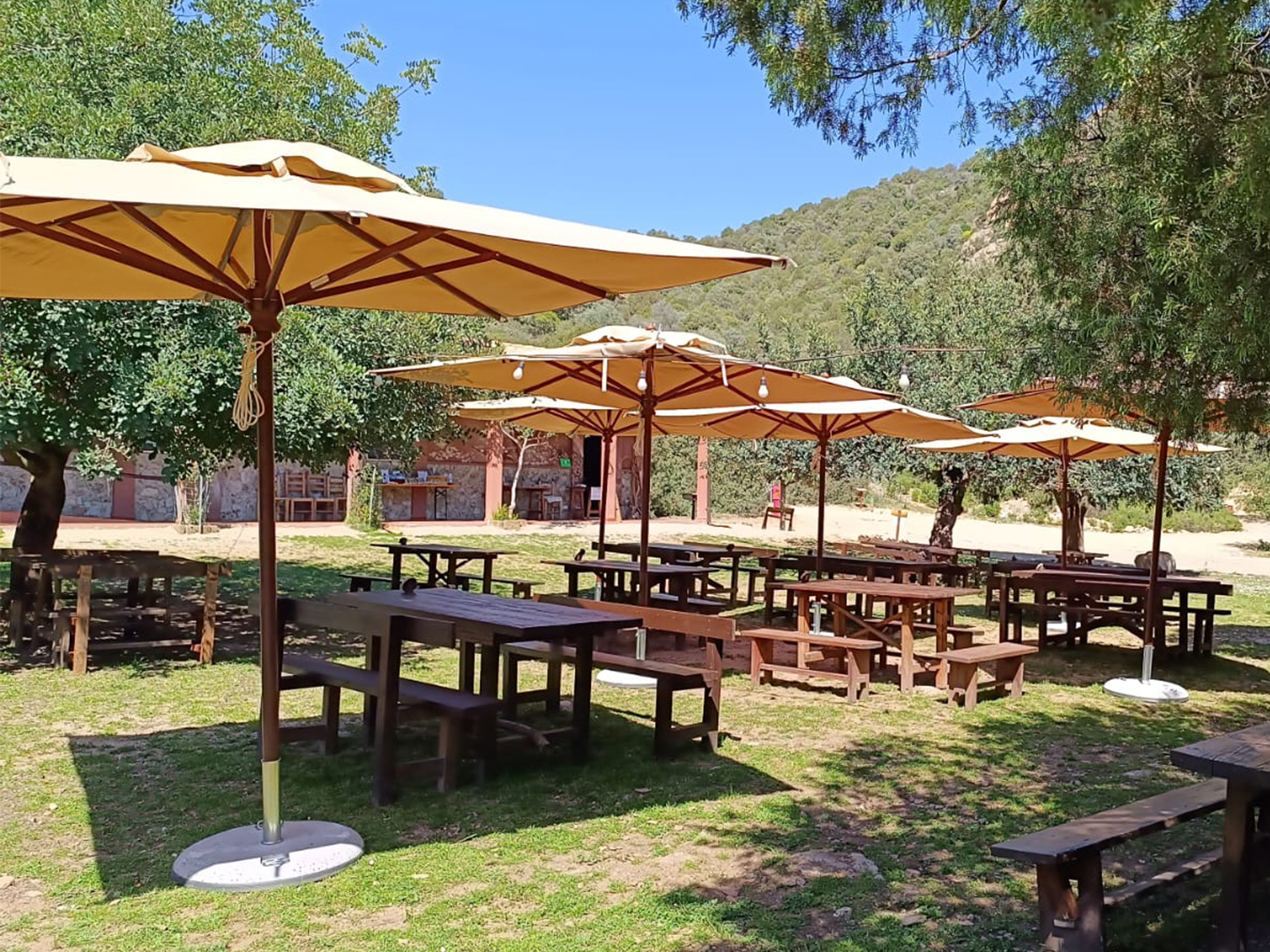 WhatsApp Image 2025 10 06 at 16.10.56