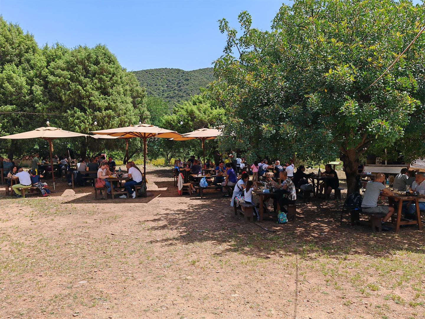 WhatsApp Image 2025 10 06 at 16.11.17