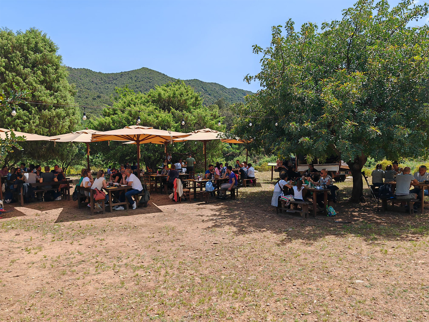 WhatsApp Image 2025 10 06 at 16.13.43