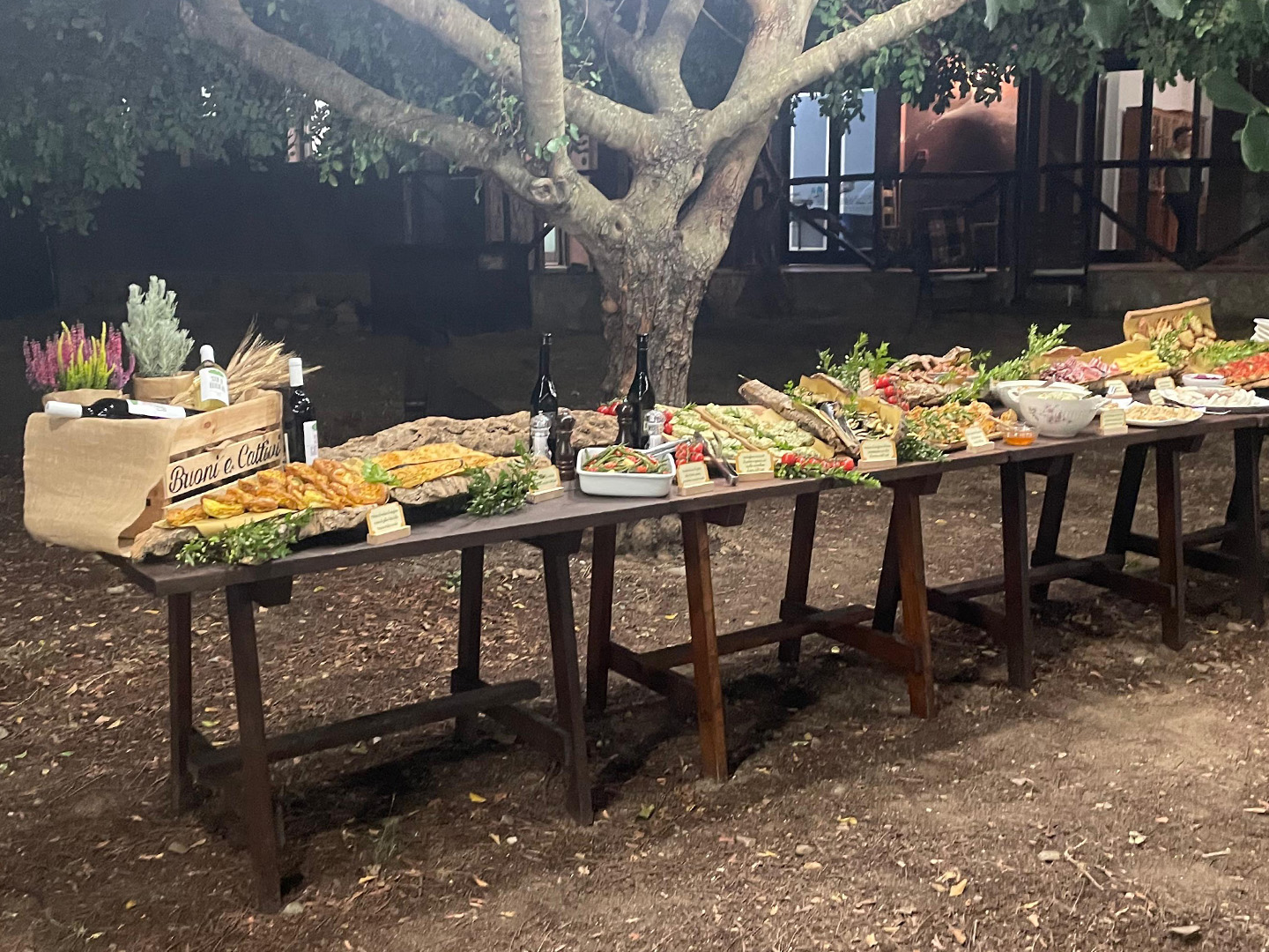 WhatsApp Image 2025 10 06 at 16.23.21