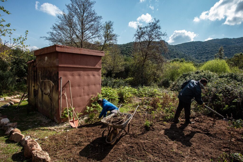 WhatsApp Image 2025 10 06 at 17.57.47