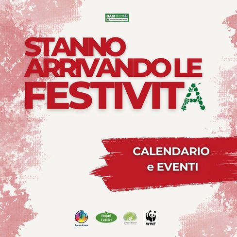 IG Festività Natale (488 x 488 px)