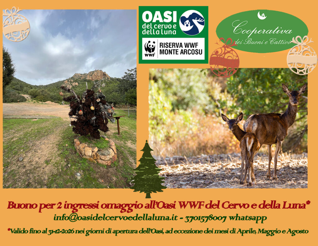 BUONO INGRESSO natale (1)