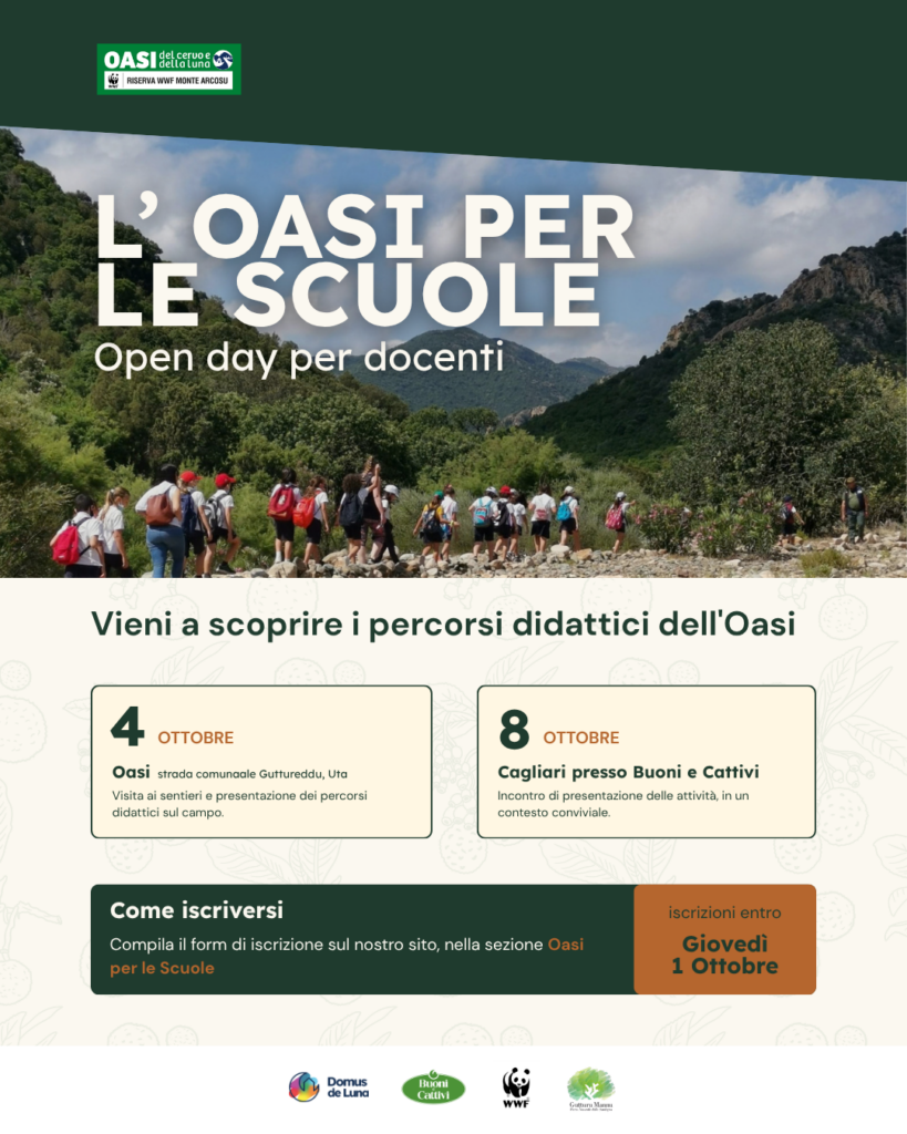 Oasi per le scuole IG (2)