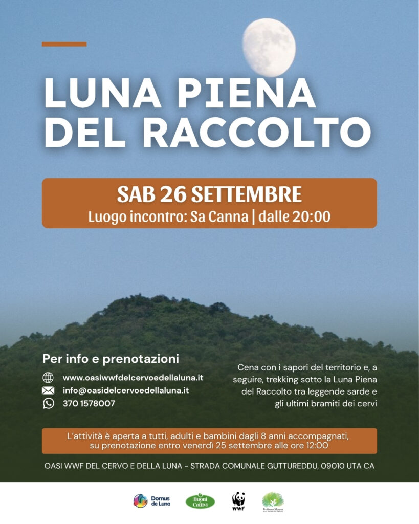 Locandina eventi Estate in Oasi (24)